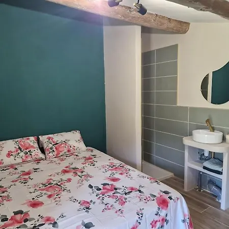 T2 37 M2 Entierement Renove Dions